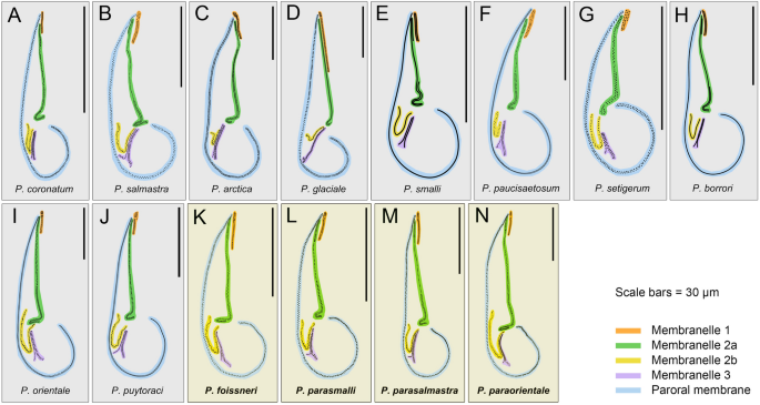 figure 8