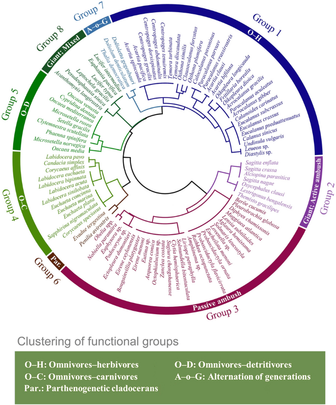 PDF) Seasonal succession of zooplankton taxonomic group