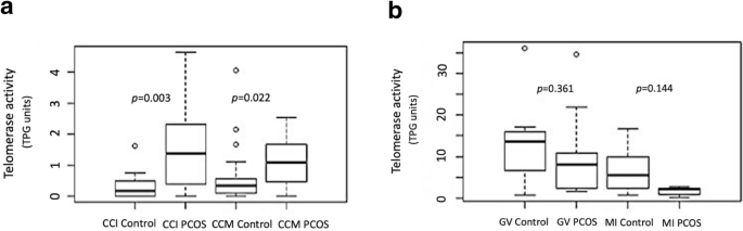 Telomere Length And Telomerase Activity In Immature Oocytes