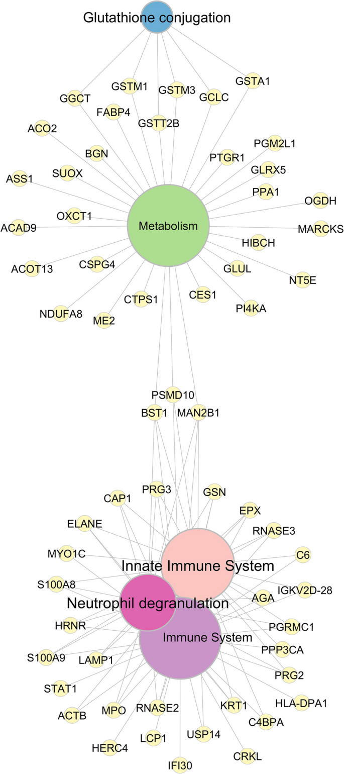 glutathione and uterine fibroids Regional Proteomic Characterization of Uterine Leiomyomas: Implications for  Molecular Pathways and Tumor Biology | Reproductive Sciences