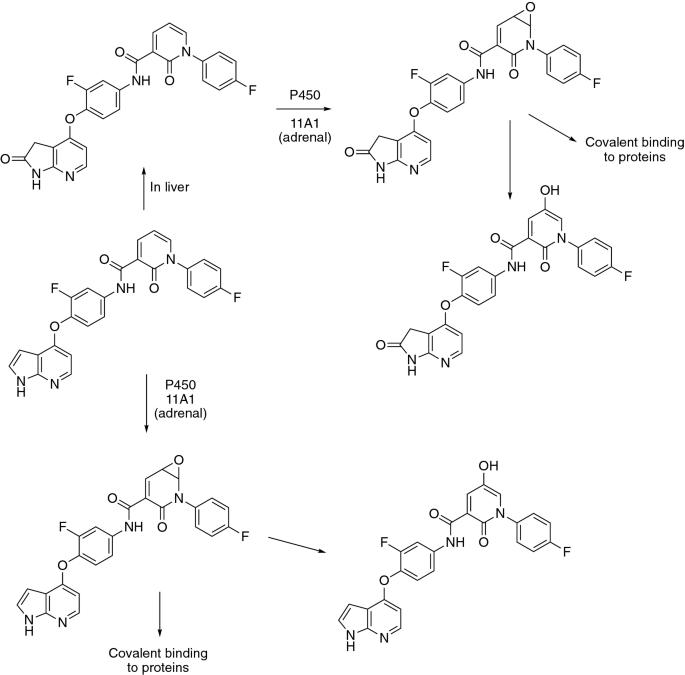 figure 14