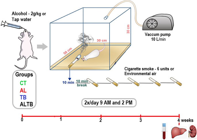 coughing up blood smoking cigarettes Smoker's Cough: Remedies, Duration, and More