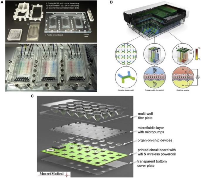 The future of toxicity testing: the emerging role of organ-on-a-chip ...