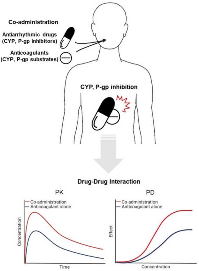 PK/PD interactions of antiarrhythmic drugs and oral anticoagulants in ...