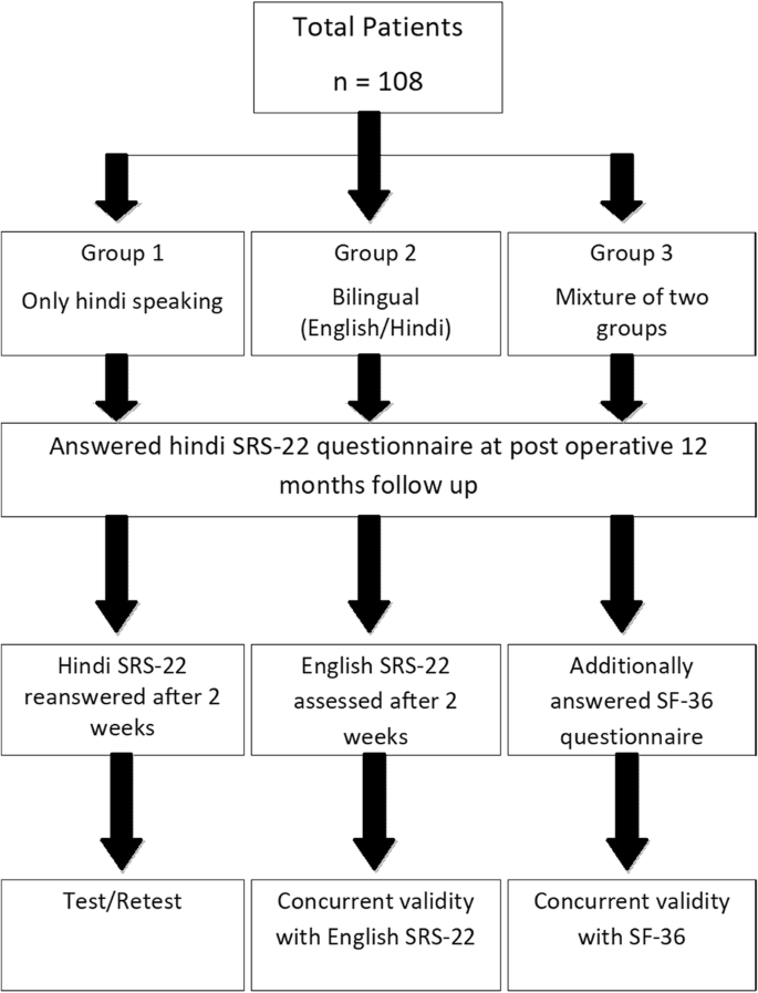 Reliability And Validity Of A Cross Culturally Adapted Hindi Version Of The Srs 22r Questionnaire In Indian Patients Springerlink