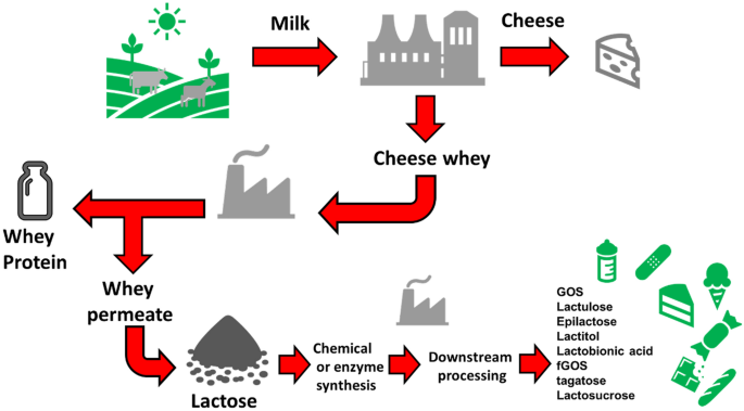 Production Processes For GOS Powder Production Processes For GOS Powder