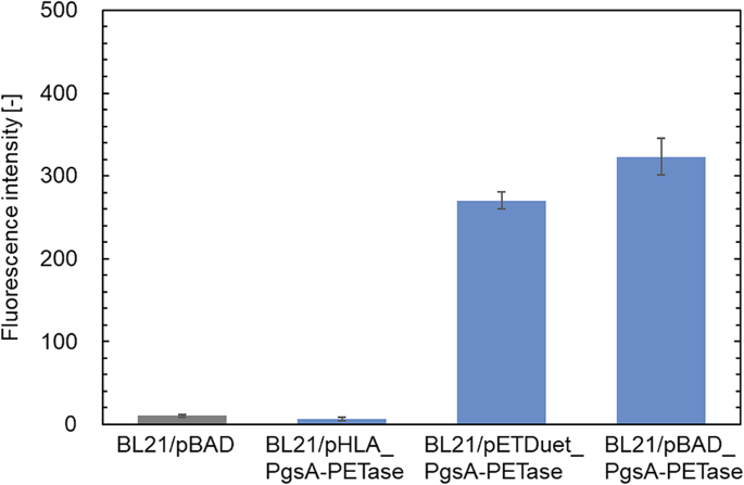 Escherichia coli with surface display of PETase and periplasmic ...