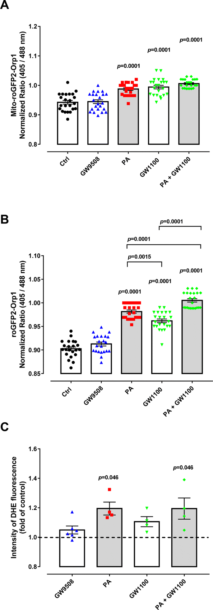 Chronic Activation Of Gpr40 Does Not Negatively Impact Upon Brin 11 Pancreatic B Cell Physiology And Function Springerlink Chronic Activation Of Gpr40 Does Not Negatively Impact Upon Brin 11 Pancreatic B Cell Physiology And Function Springerlink