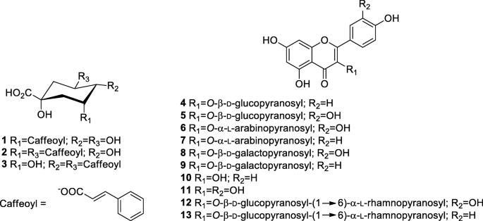 Uhplc Ms Analysis Of Polyphenols In The Aqueous Extract Of Hydrangea Seemannii Springerlink