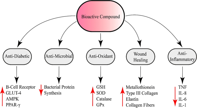 Aloe vera and Streptozotocin-Induced Diabetes Mellitus | Revista Brasileira  de Farmacognosia | Springer Nature Link