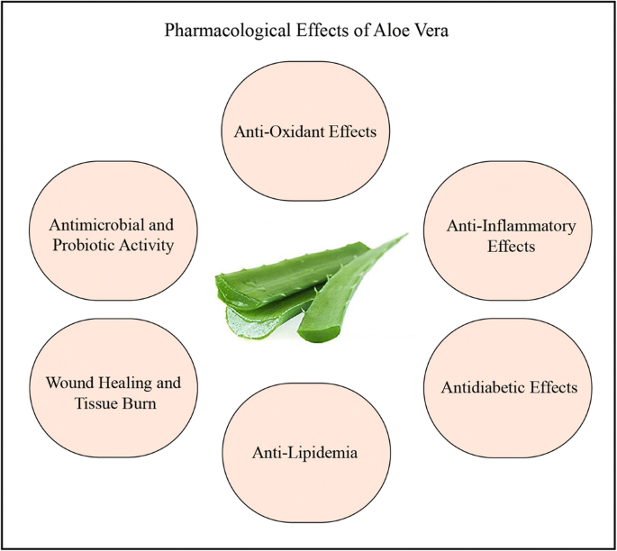 Aloe vera and Streptozotocin-Induced Diabetes Mellitus