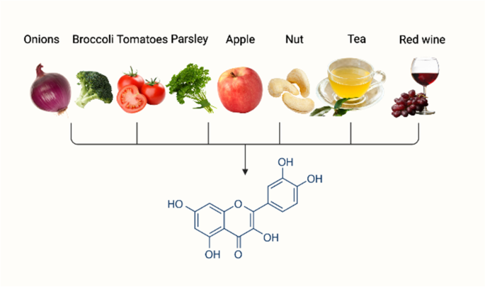 Quercetin Source