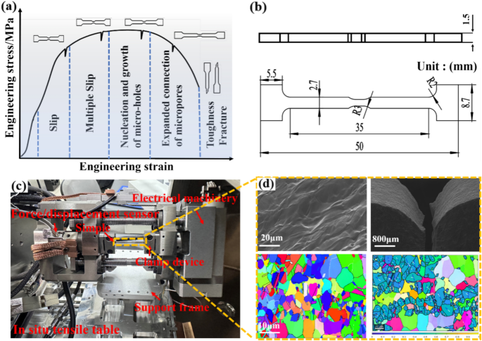 Dynamic evolution of austenite/ferrite grain boundary structure during ...