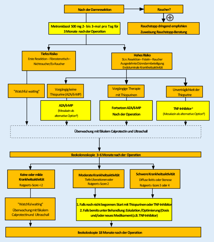 Therapiealgorithmen für die Behandlung des Morbus Crohn im klinischen  Alltag | SpringerLink