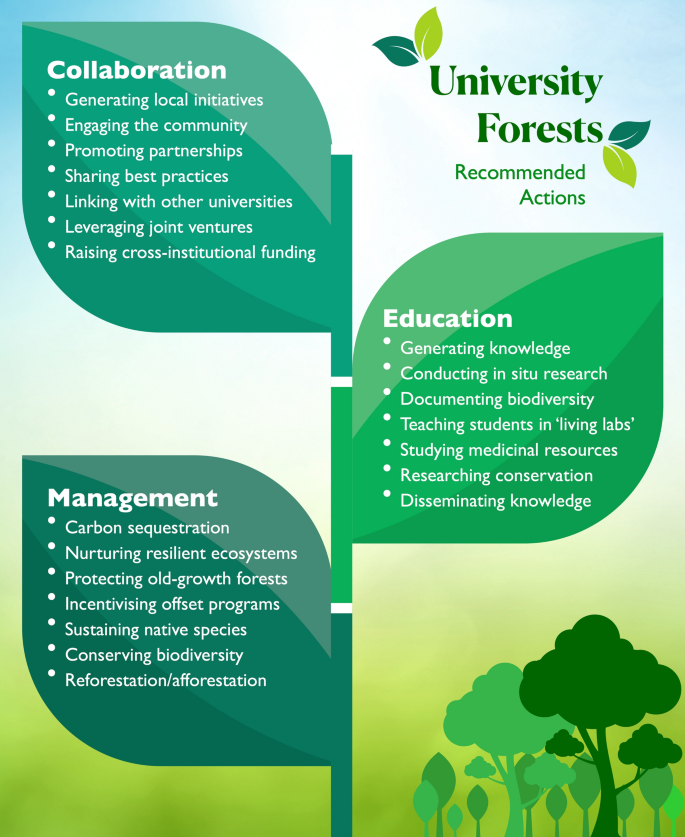 University forests and carbon sequestration: an untapped potential 