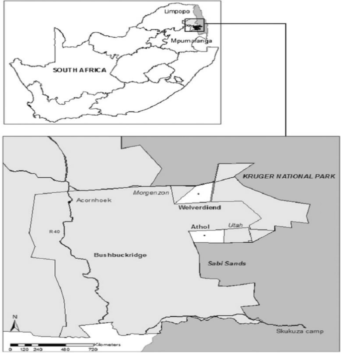 The determinants of indigenous fruit value-added products packaging ...
