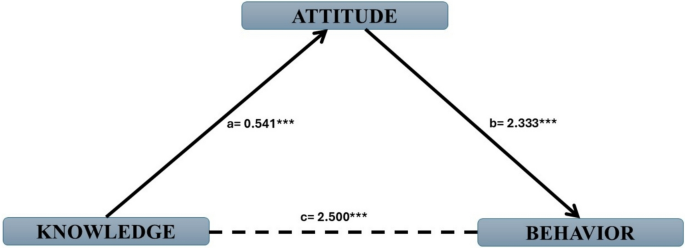 Internal locus of control and attitudes as determinants of responsible ...