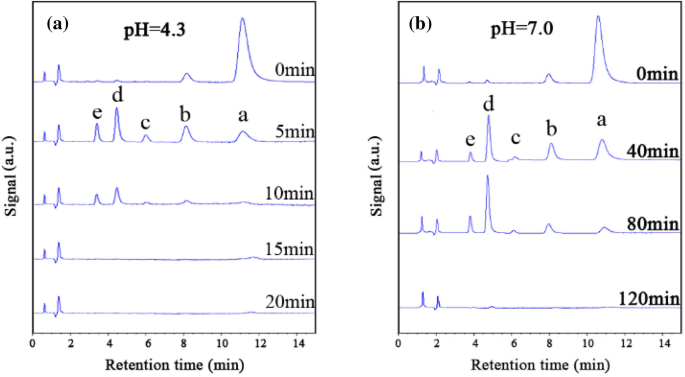 Ph Controlled Mechanism Of Photocatalytic Rhb Degradation Over G C 3 N 4 Under Sunlight Irradiation Springerlink
