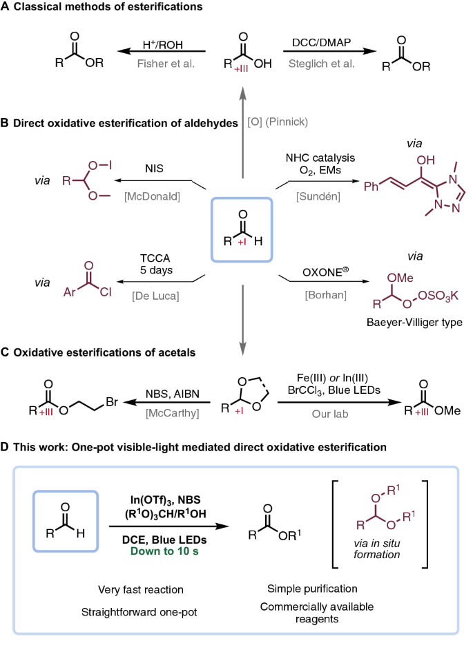 Esterification of Various Carboxylic Acids with tert-Butyl Alcohol in