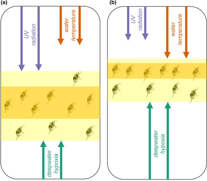 case study on montreal protocol figure 1