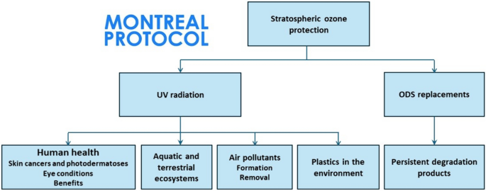 case study on montreal protocol