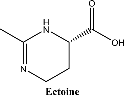 natural glutathione source Top 10 Foods Rich in Glutathione for Natural Detox & Skin Glow  Chicnutrix