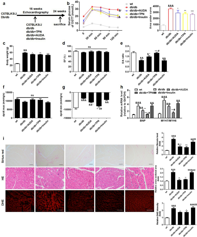 Increased Soluble Epoxide Hydrolase Activity Positively Correlates with  Mortality in Heart Failure Patients with Preserved Ejection Fraction:  Evidence from Metabolomics