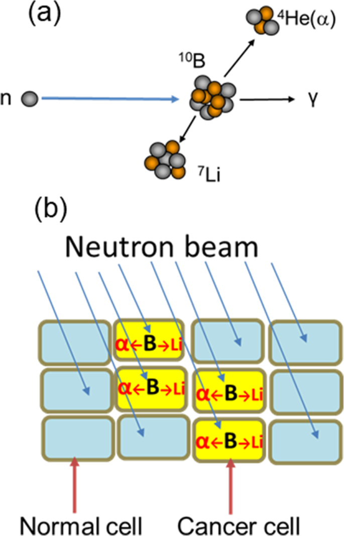 figure 19