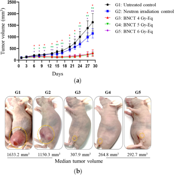 figure 23