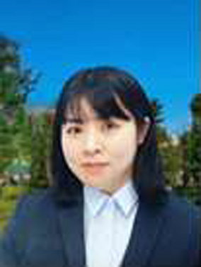 figure d