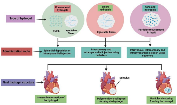 Recent advances in biomimetic hydrogel materials for cardiac medicine ...