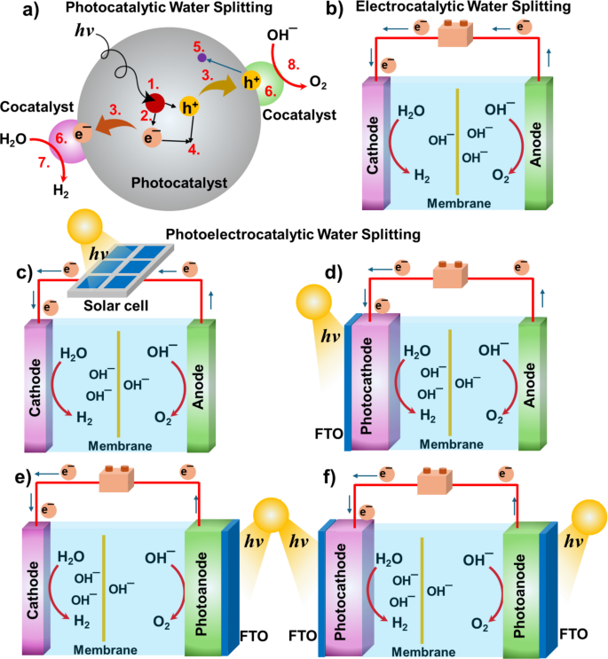 Cocatalyst Carbon-based catalysts for photoelectrochemical water splitting ...
