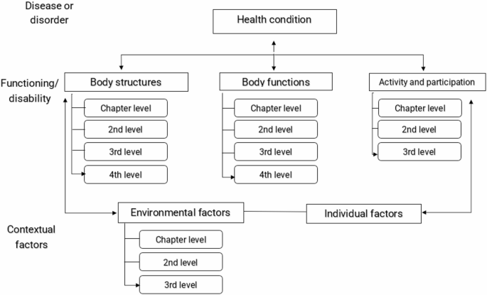 Validation of a self-supervised architecture for automated ICF coding ...