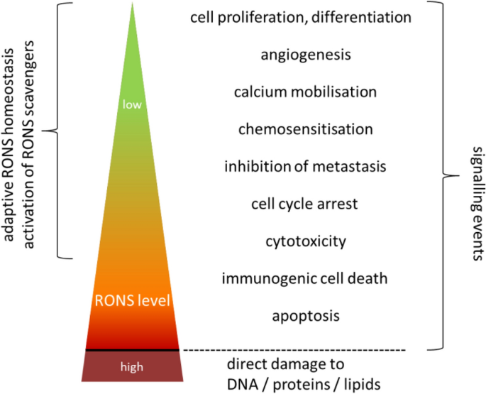 Sensing of Physical Factors by Cells: Electric Field, Mechanical Forces,  Physical Plasma and Light—Importance for Tissue Regeneration | Biomedical  Materials & Devices