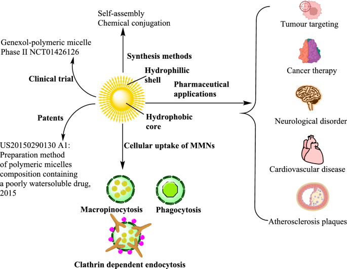 Multifunctional Micellar Nanoparticles in Targeted Drug Delivery ...