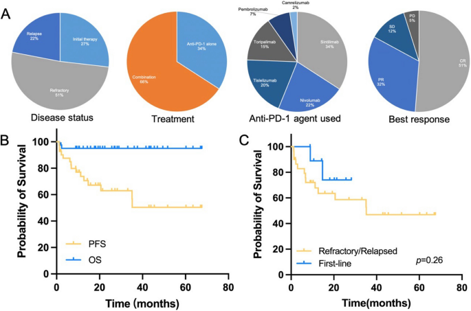 Real-world study of efficacy and safety of PD-1 antibody monotherapy ...
