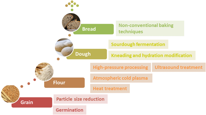 research paper on bread wheat figure 1