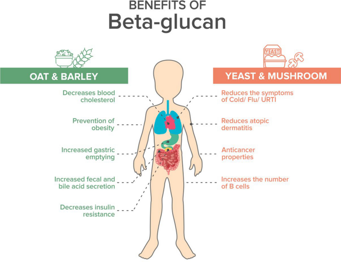 Clinical benefits of β-glucan supplementation in children: a review |  Discover Food
