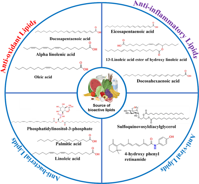 Analysis and functions of bioactive lipids in food Discover Food