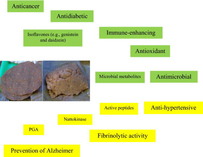 Fsb Food Research progress and potential application of Thua Nao | Discover Food ...