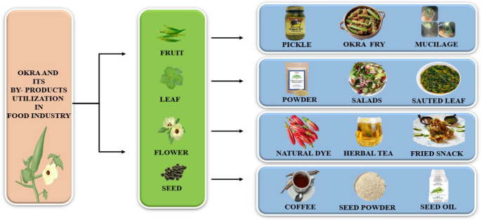 Exploring the nutritional, pharmacological, and industrial potential of okra and its byproducts: a comprehensive review | Discover Food | Springer Nature Link Exploring the nutritional, pharmacological, and industrial potential of okra and its byproducts: a comprehensive review | Discover Food | Springer Nature Link