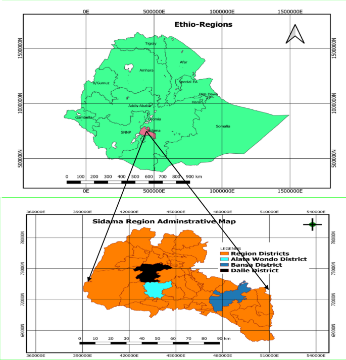 Determinants of milk market channel choice decisions among smallholder ...