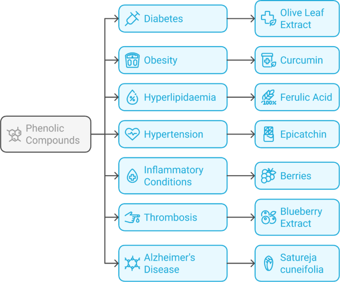 A review on exploring the health benefits and antioxidant properties of ...