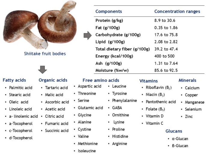 glutathione in mushrooms A comprehensive review of shiitake mushroom's cultivation, nutritional attributes, therapeutic potential, and sustainable applications | Discover Food glutathione looksmax Amazon.com : Size:30 pcs Buy Sannacobal-12 Vitamin B12 Injection for livestock. Supports appetite