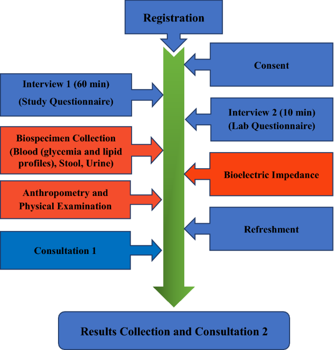 Flow diagram depicting the recruitment of participants and genetic test