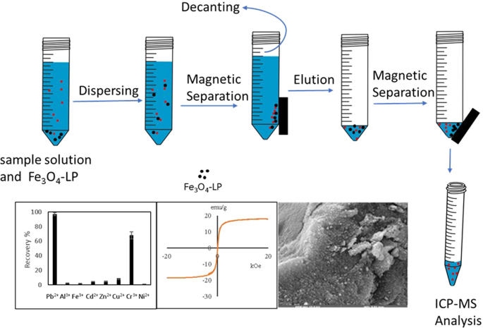 The synthesis and characterization of iron nanoparticles with lemon peel  and its use in magnetic solid phase extraction for trace levels of lead  (II) | SpringerLink