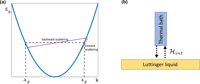Luttinger liquid under non-Hermitian quantum sensing | Quantum Frontiers