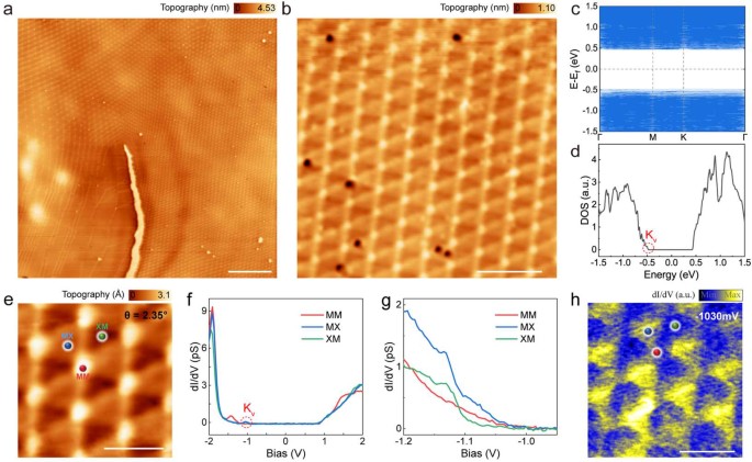 Real-space study of monolayer hBN encapsulated bilayer MoTe2 devices ...