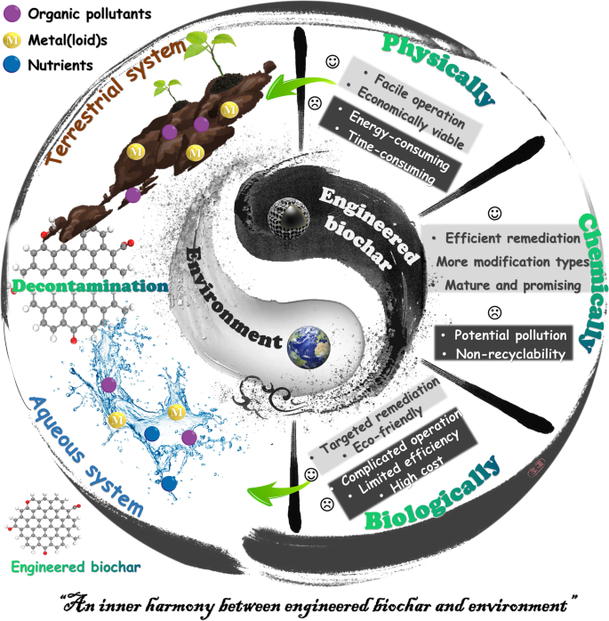 Biochar mitigates bioavailability and environmental risks of