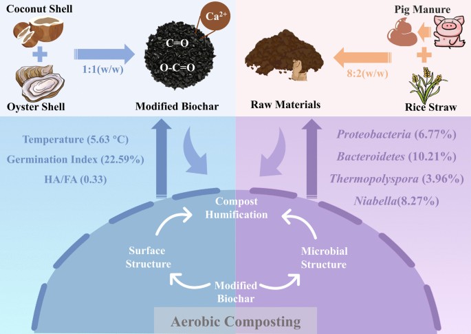 Oyster shell-functionalized biochar enhanced compost humification ...